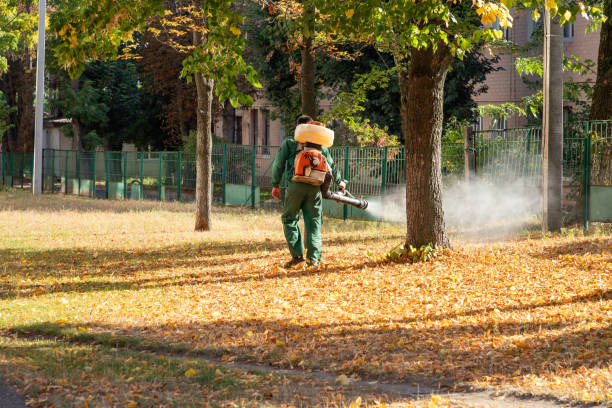 Best Insect Control  in Mangonia Park, FL