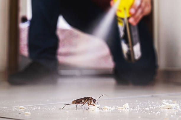 Professional Pest Control in Mangonia Park, FL